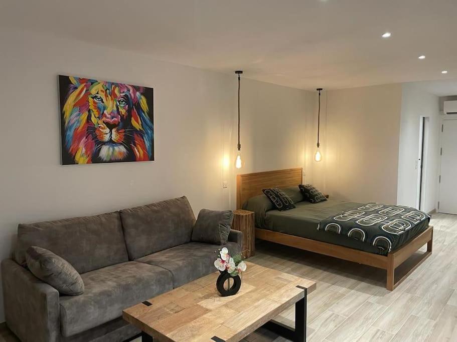 Charmant Studio Avec Vue Mer, Terrasse Anse-Marcel Extérieur photo